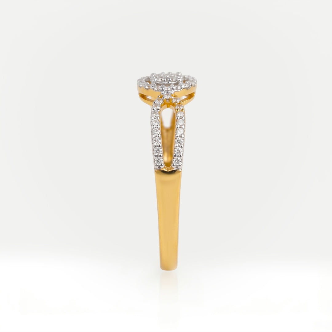 Yellow Gold-2408