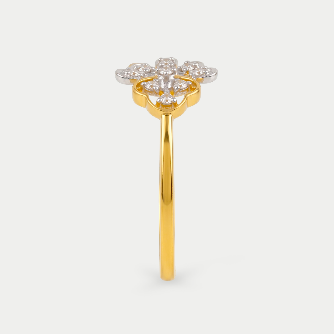 Yellow Gold-2408